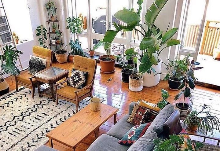 广深港高铁跨境客流上半年突破1500万人次