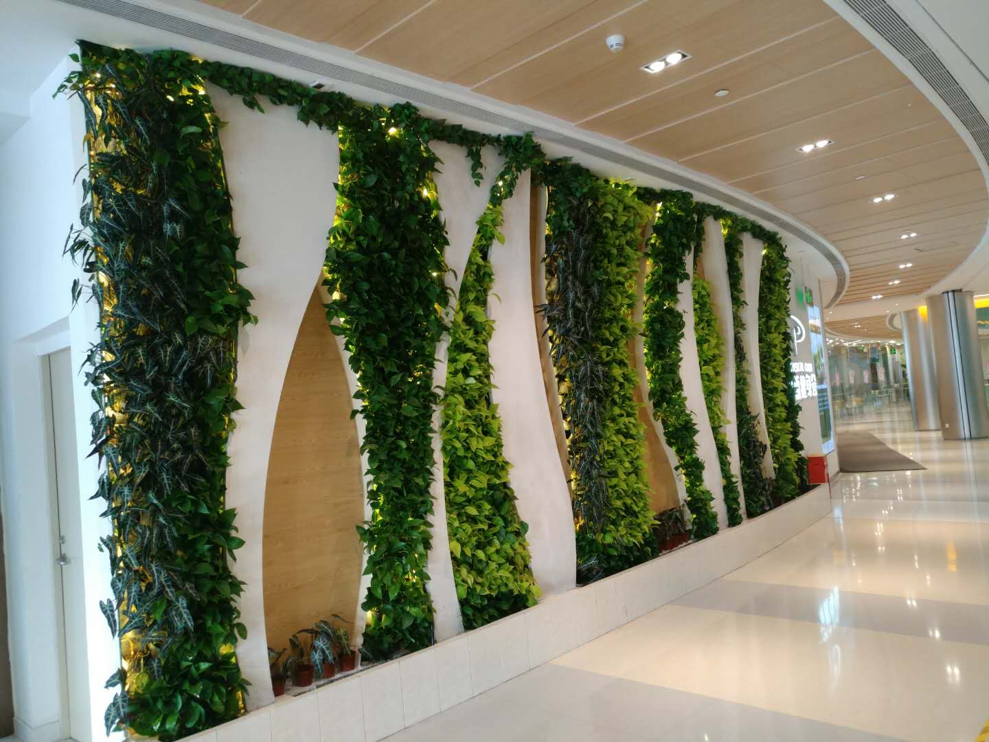 广深港高铁跨境客流上半年突破1500万人次