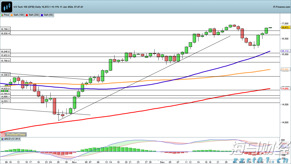 港南区举行“桂字号”荔枝产销对接活动