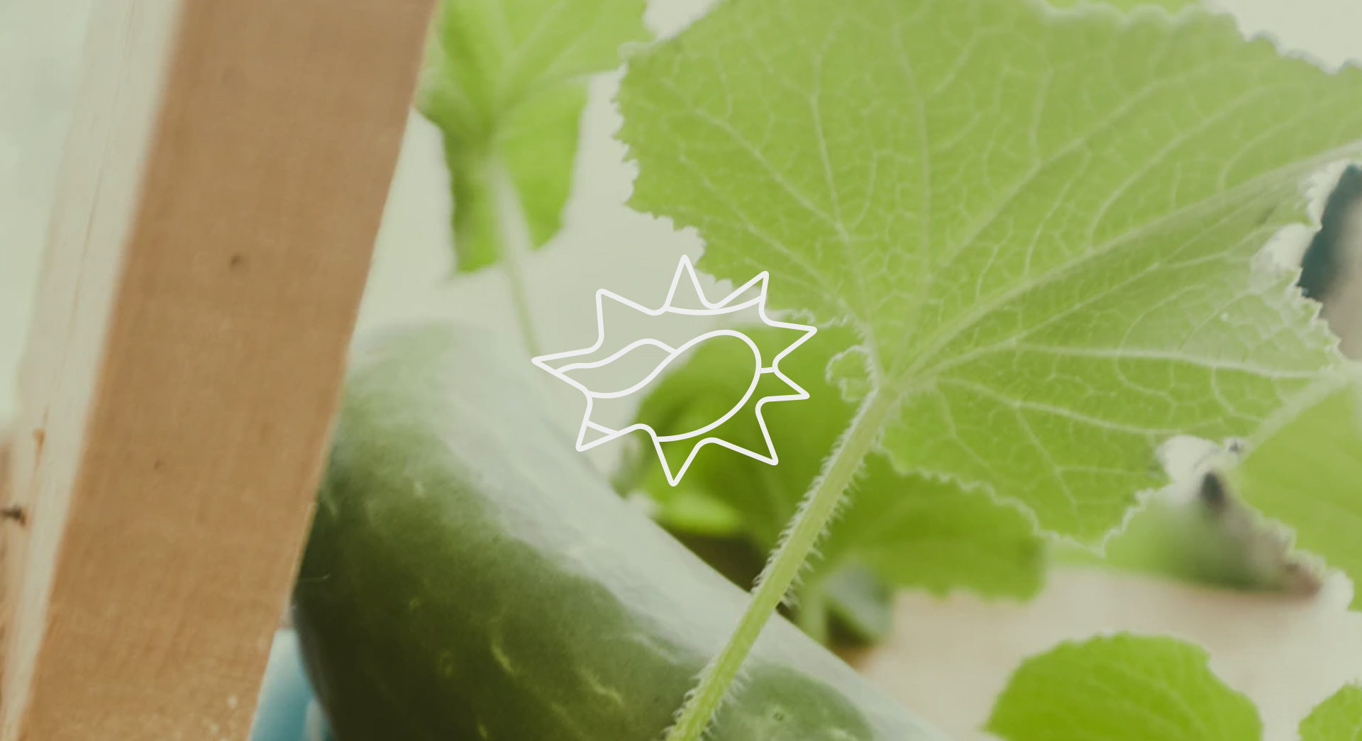 男子侵占货款购买泡泡玛特等致公司损失92万!一审获刑两年