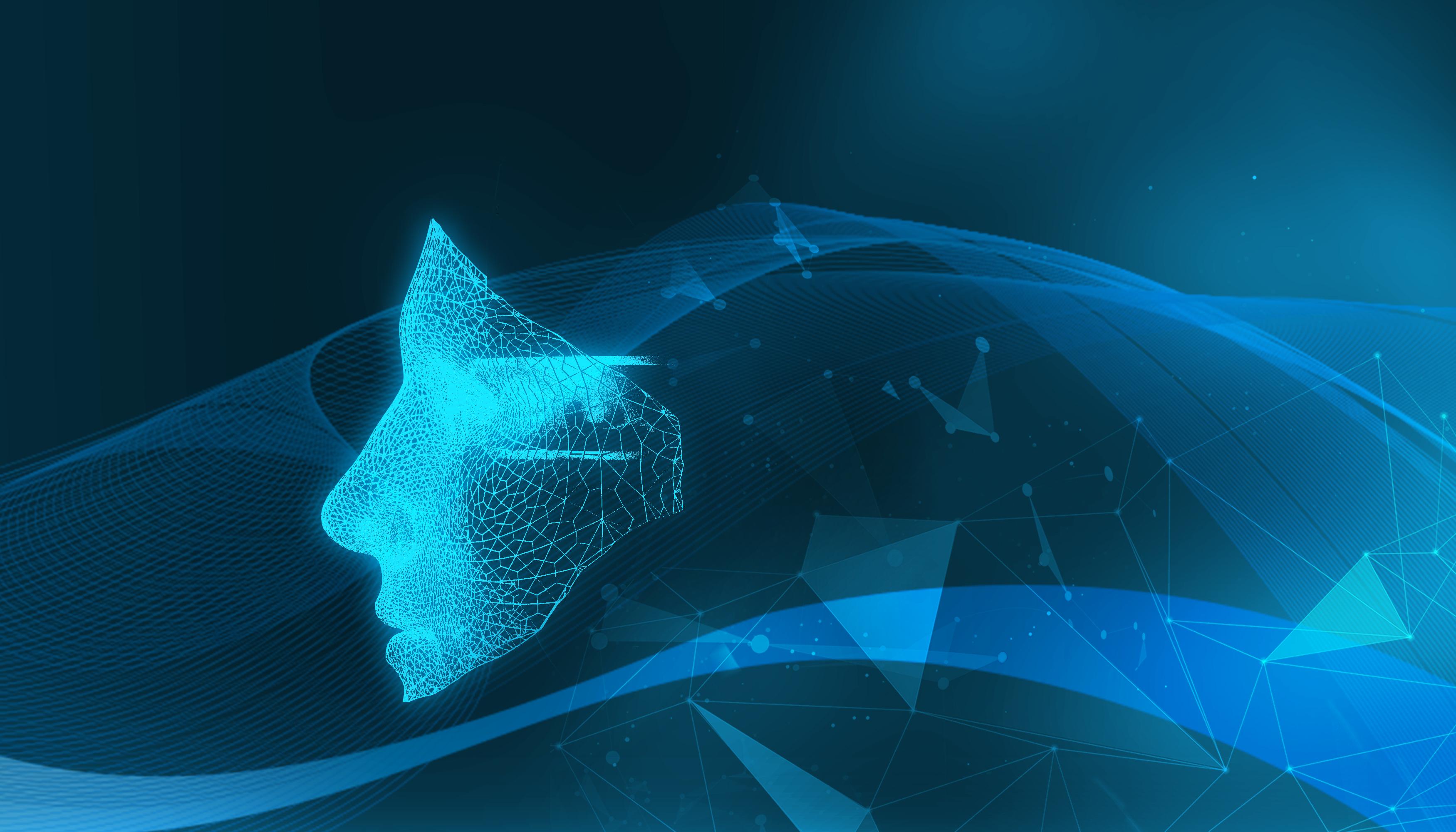  四川部署民生领域案件查办“铁拳”行动