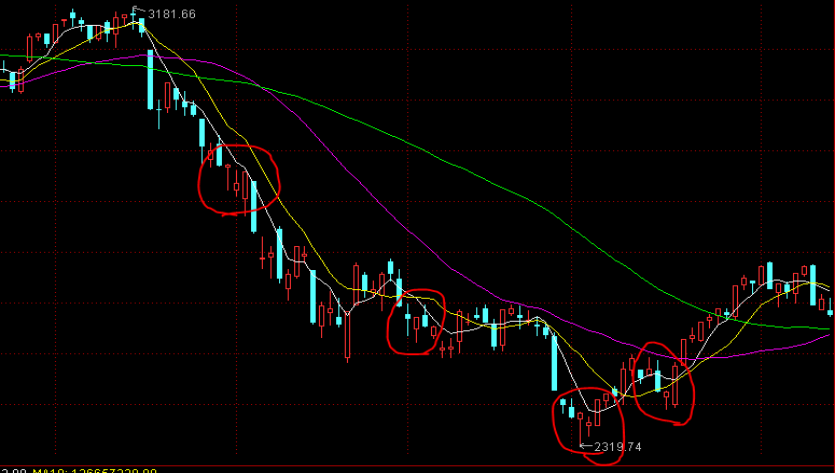 建行贵港分行开展金融科技周活动