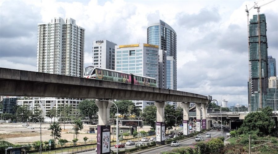 光大肉鸽养殖项目预计月底引进首批5000对种鸽