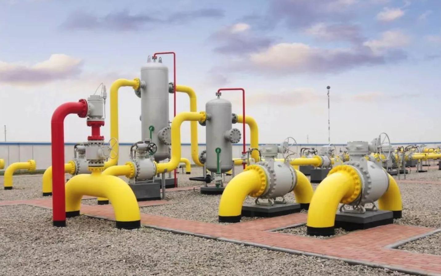 黄练镇岭岑村辣椒基地喜获丰收