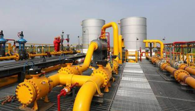 黄练镇岭岑村辣椒基地喜获丰收