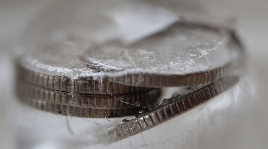 解锁新市场！梅州观赏鱼 “游” 进马来西亚