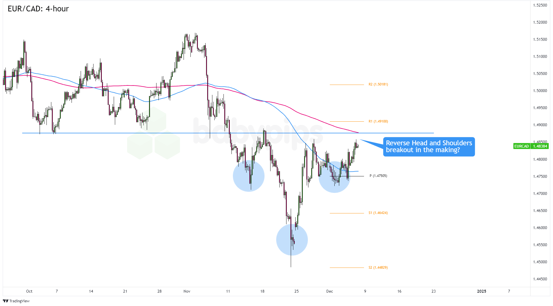 桂平市政务服务中心获企业点赞